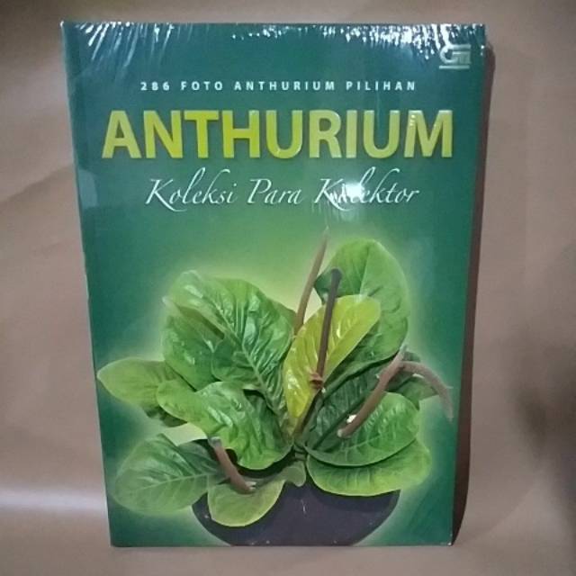 286 Foto ANTHURIUM Pilihan : ANTHURIUM Koleksi Para Kolektor