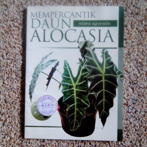 Mempercantik Daun Alocasia