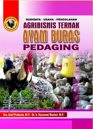 Agribisnis ternak ayam buras pedaging