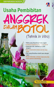 Usaha Pembibitsn Anggrek Dalam Botol : Tahnik In Vitro