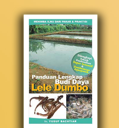 Panduan Lengkap Budi Daya LELE Dumbo