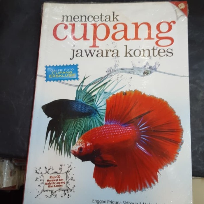 Mencetak Cupang Jawarah Kontes