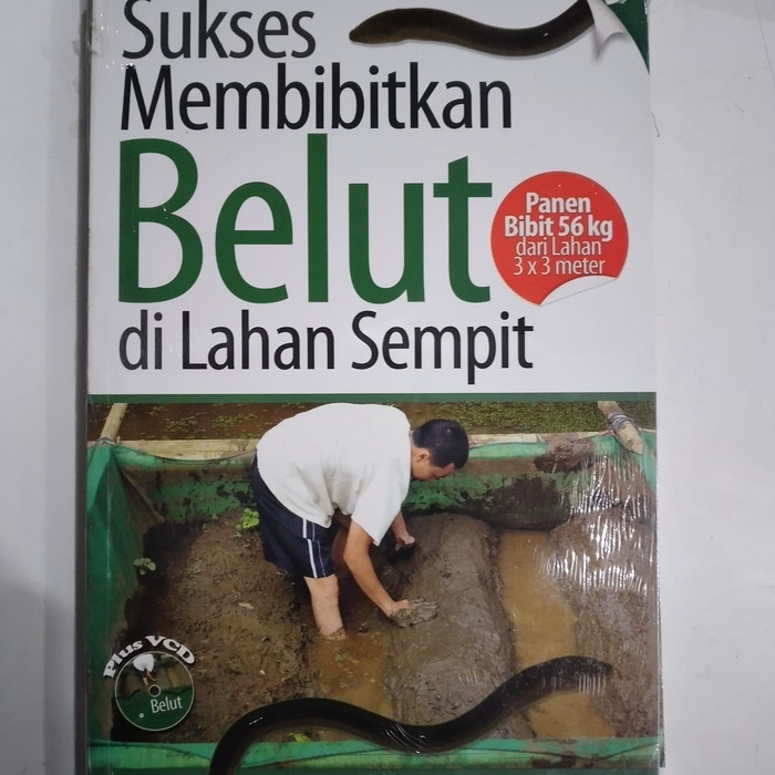 Sukses Membibitkan Belut di Lahan Sempit