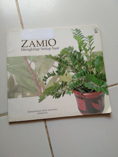 Zamio Mengkilap Setiap Saat
