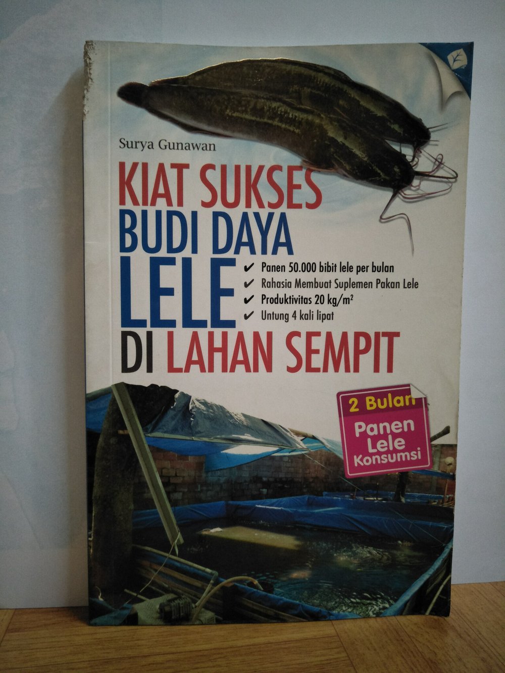Kiat sukses budi daya lele di lahan sempit : 2 Bulan panen lele konsumsi