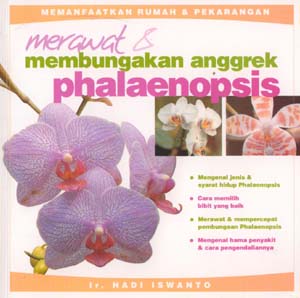 Merawat dan membungakan anggrek phalaenopsis / Hadi Iswanto