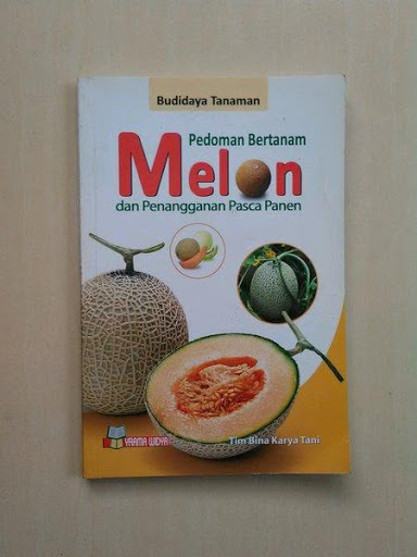 BUDIDAYA TANAMAN MELON / TIM BINAKARYA TANI
