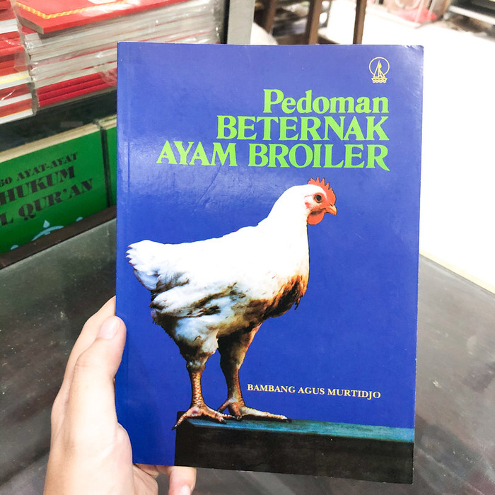 Pedoman Beternak Ayam Broiler