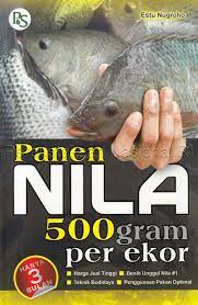 Panen nila 500 gram per ekor