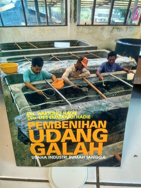 Pembenihan udang galah : usaha industri rumah tangga