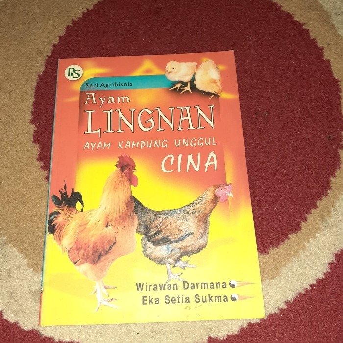 Ayam Linghan : Ayam Kampung Unggul Cina