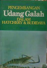 Pengembangan Udang Galah Dalam Hatchery dan Budidaya