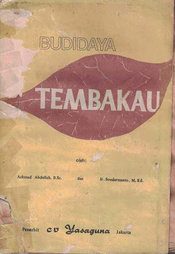 Budidaya tembakau