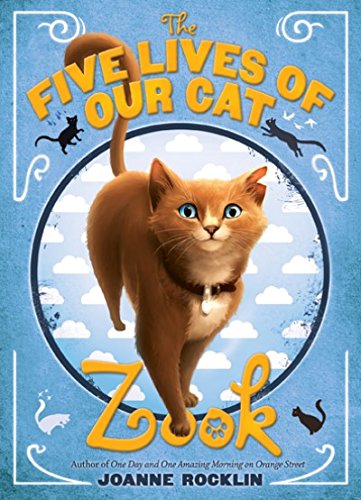 The Five Lives Of Our Cat Zook