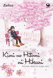 Kimi no hitomi ni hikari