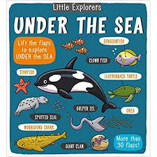 Little explorers : under the sea / Little Explorers