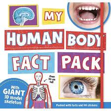 My Human Body : Fact Pack