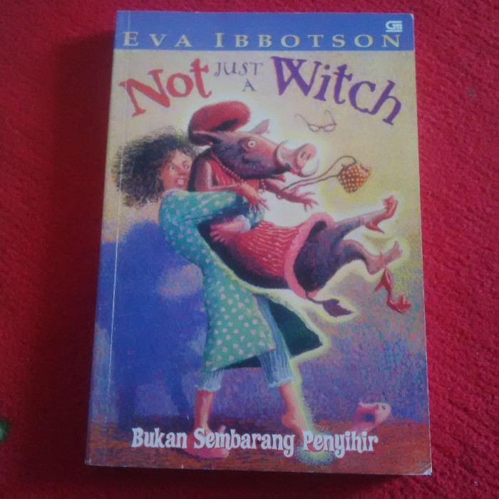Bukan sembarang penyihir / Eva Ibbotson