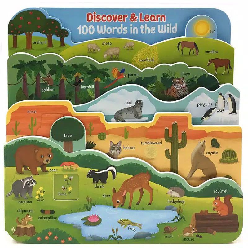 DIscover & Learn 100 Words in the WIld
