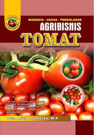 Agribisnis tomat / Arief Prahasta