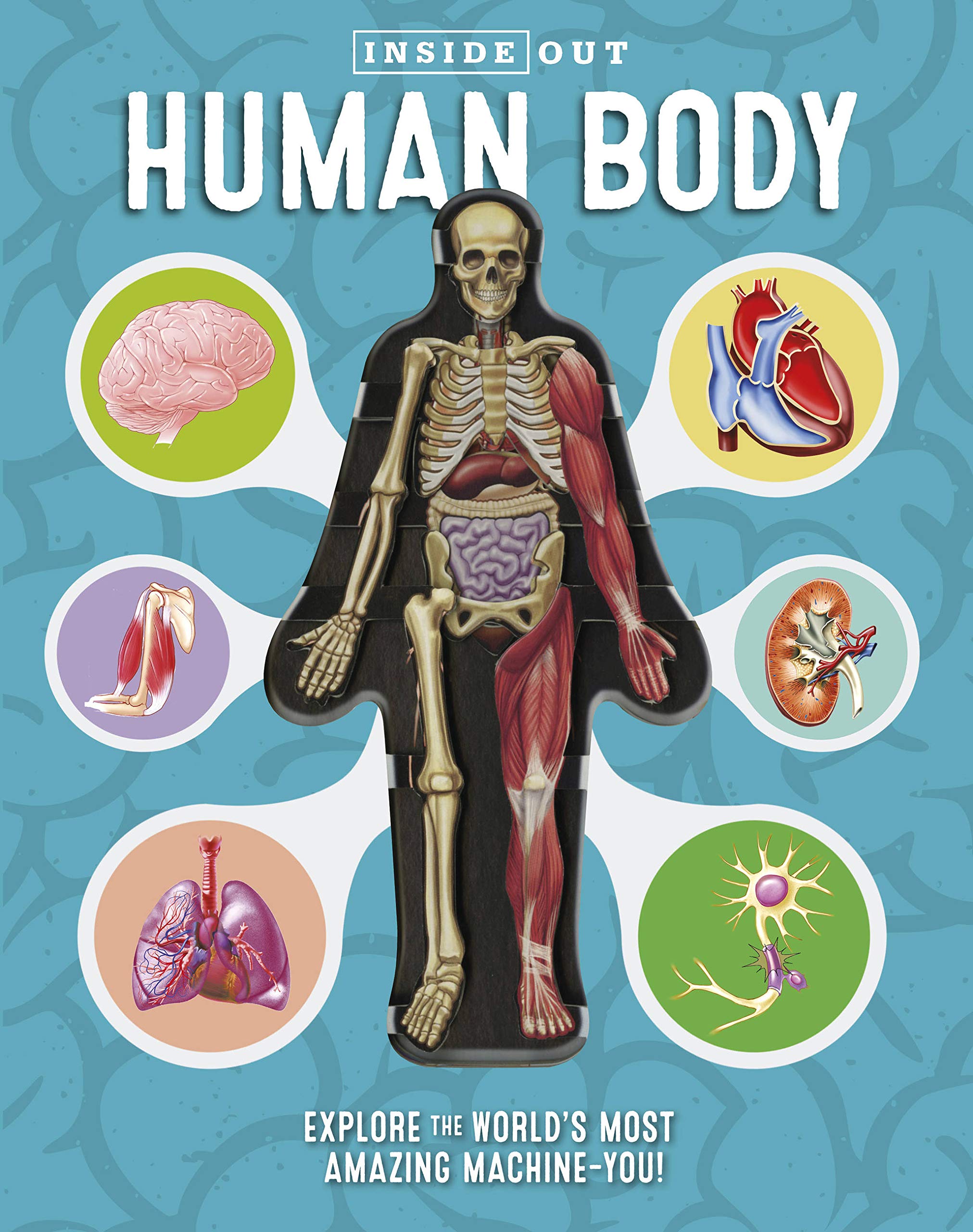 Inside Out Human Body : explore the world's most amazaing machine - you!