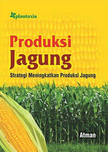 Produksi Jagung : Strategi Meningkatkan Produksi Jagung