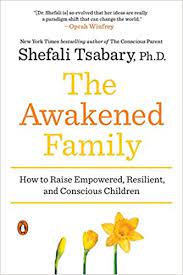 The Awakened Family : A Revolution In Parenting