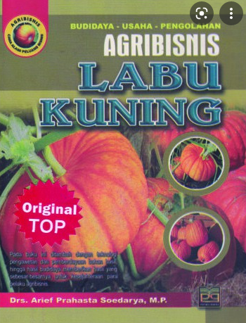 Agribisnis labu kuning / Arief Prahasta Soedarya