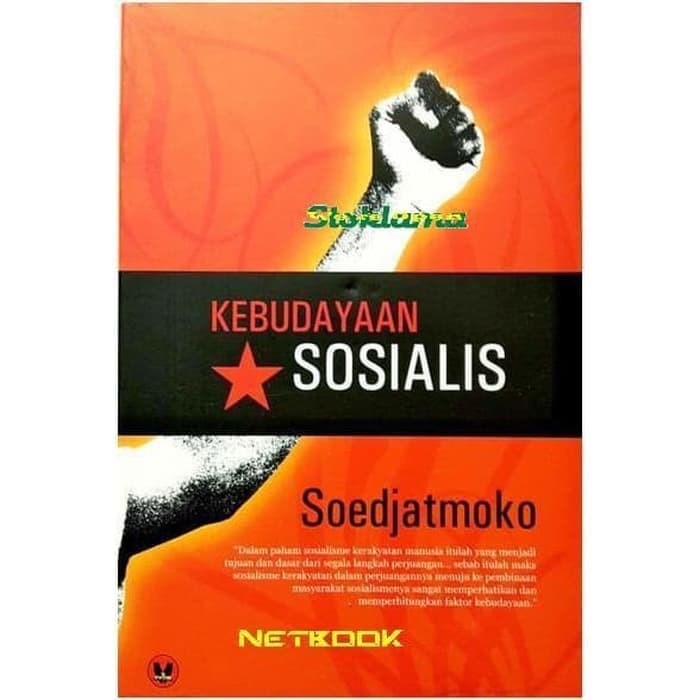 Kebudayaan Sosialis