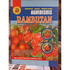Agribisnis rambutan :  Budidaya-usaha-pengolahan / Arief Prahasta