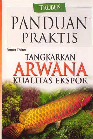 Panduan Praktis Tangkarkan Arwana Kualitas Ekspor
