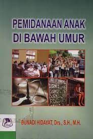 Pemidanaan Anak Di Bawah Umur