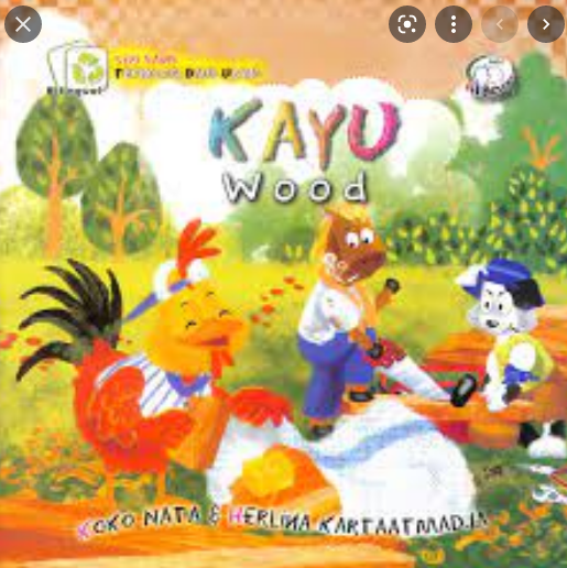Kayu Wood