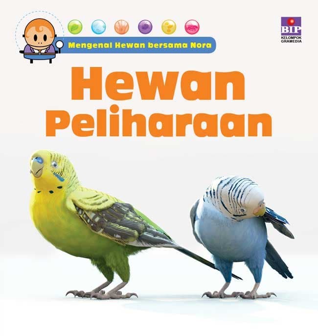 Mengenal Hewan Bersama Nora: Hewan Peliharaan