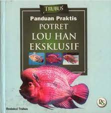 Panduan praktis potret lou han eksklusif