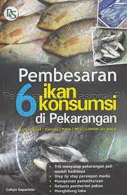 Pembesaran 6 Ikan Kosumsi di Pekarangan : Lele, Belut, Gurami, Patin, Nila, Lobster Air Tawar