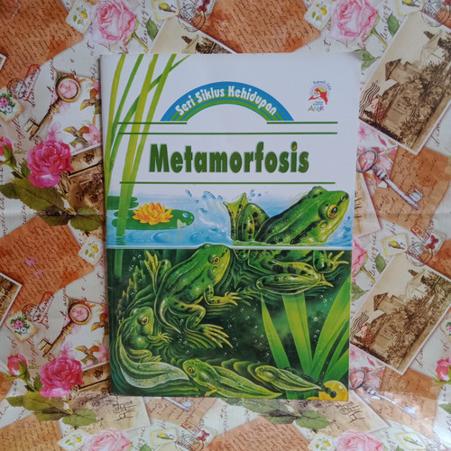 Seri siklus kehidupan : metamorfosis