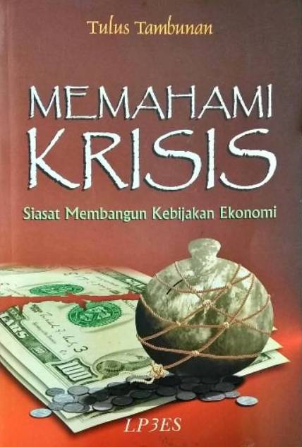 Memahami krisis : siasat membangun kebijakan ekonomi