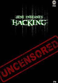 Seni internet hakcing