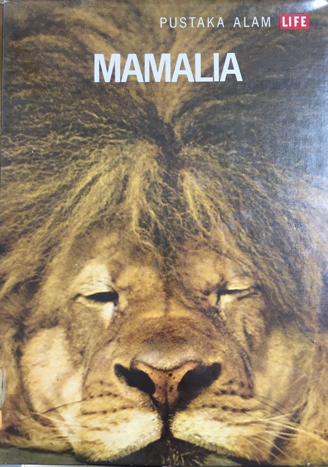 Mamalia