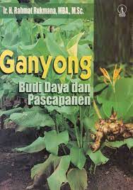 Ganyong budi daya dan pascapanen / Rahmat rukmana