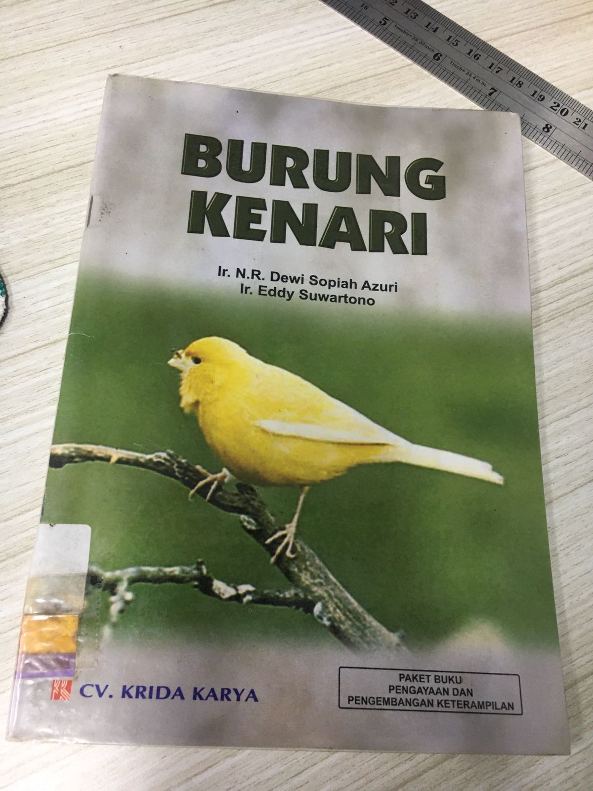 Burung Kenari