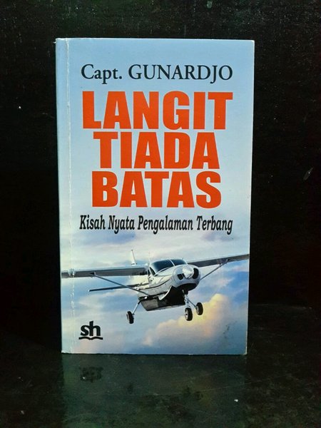 Langit tiada batas : Kisah nyata pengalaman terbang