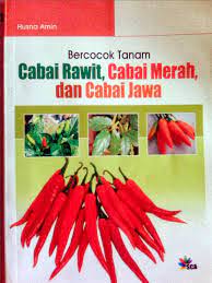 Bercocok Tanam : Cabai Rawit, Cabai Merah, dan Cabai Jawa