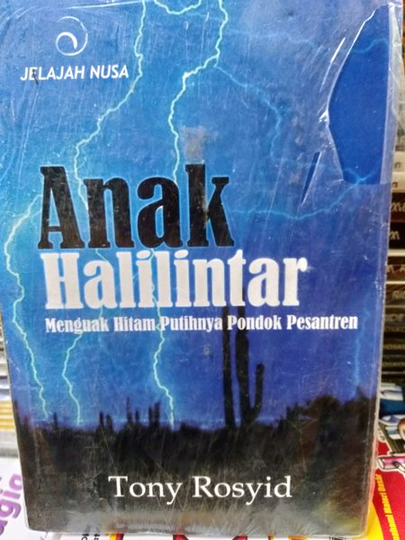 Anak halilintar : Menguak Hitam Putihn6ya Pondok Pesantren