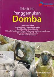 Teknik Jitu Penggemukan Domba