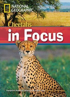 National geographic : cheetahs in focus