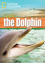 National geographic : cupid the dolphin