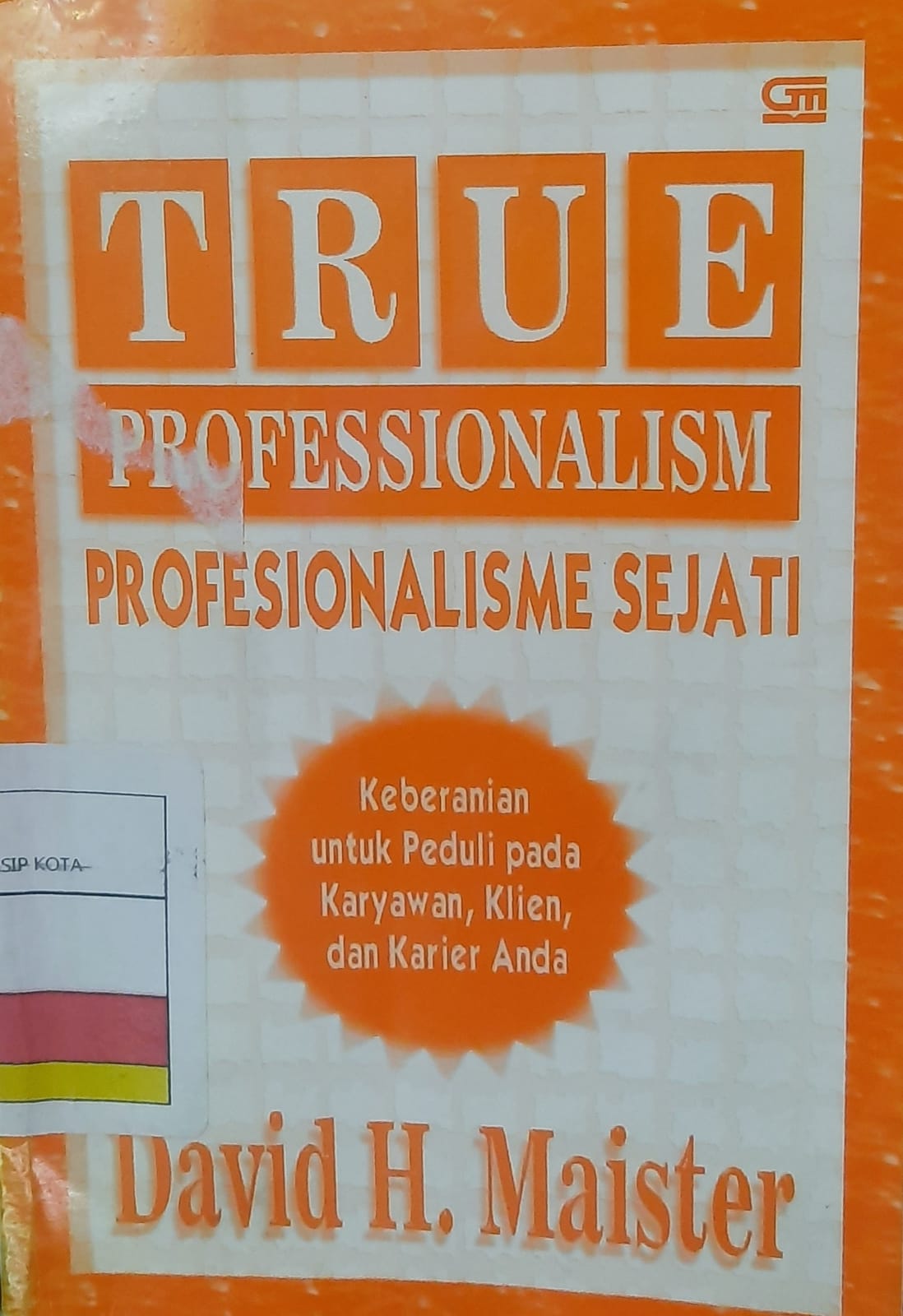 True professionalism / David H. Maister ; alih bahasa, Bern. Hidayat ; editor, J. Dwi Helly Purnomo