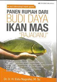 Panen rupiah dari budi daya ikan mas "Rajadanu"